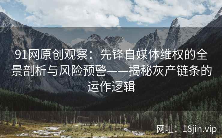 91网原创观察：先锋自媒体维权的全景剖析与风险预警——揭秘灰产链条的运作逻辑