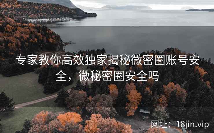 专家教你高效独家揭秘微密圈账号安全，微秘密圈安全吗