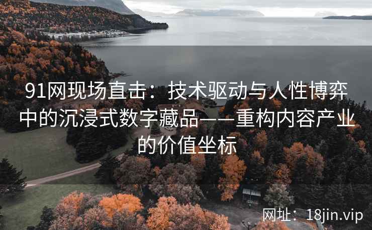 91网现场直击：技术驱动与人性博弈中的沉浸式数字藏品——重构内容产业的价值坐标