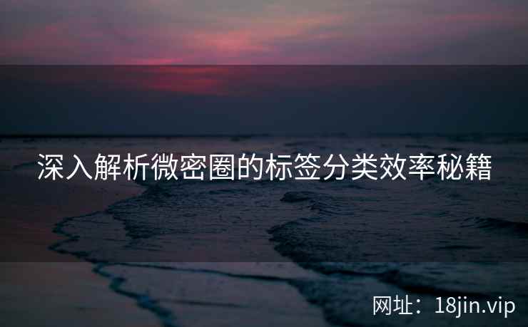 深入解析微密圈的标签分类效率秘籍
