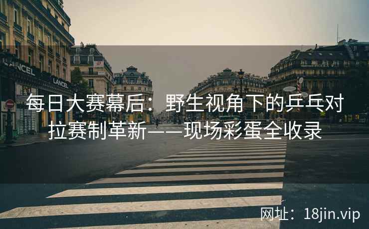 每日大赛幕后：野生视角下的乒乓对拉赛制革新——现场彩蛋全收录