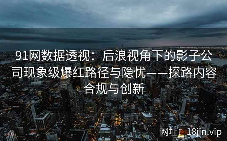 91网数据透视：后浪视角下的影子公司现象级爆红路径与隐忧——探路内容合规与创新