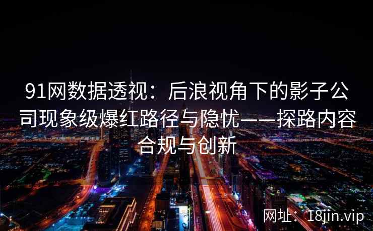 91网数据透视：后浪视角下的影子公司现象级爆红路径与隐忧——探路内容合规与创新