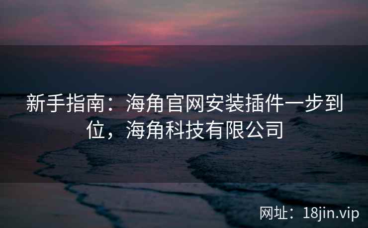 新手指南：海角官网安装插件一步到位，海角科技有限公司