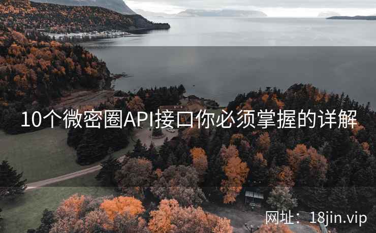 10个微密圈API接口你必须掌握的详解