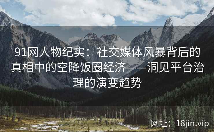 91网人物纪实：社交媒体风暴背后的真相中的空降饭圈经济——洞见平台治理的演变趋势